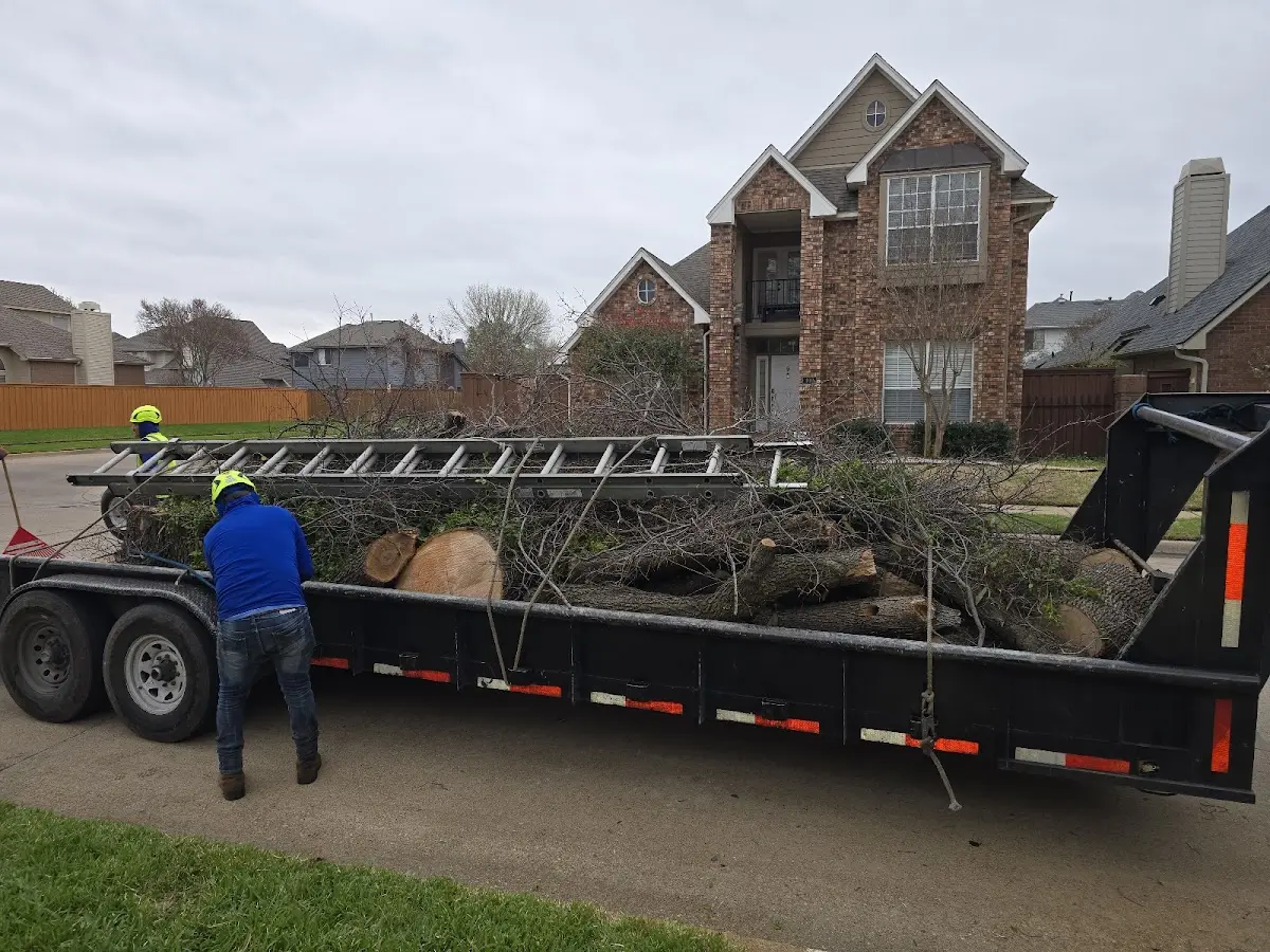 Expert Tree Removal with proper safety equipment in Tannersville
